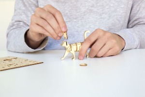 3D drvene puzle-mačka